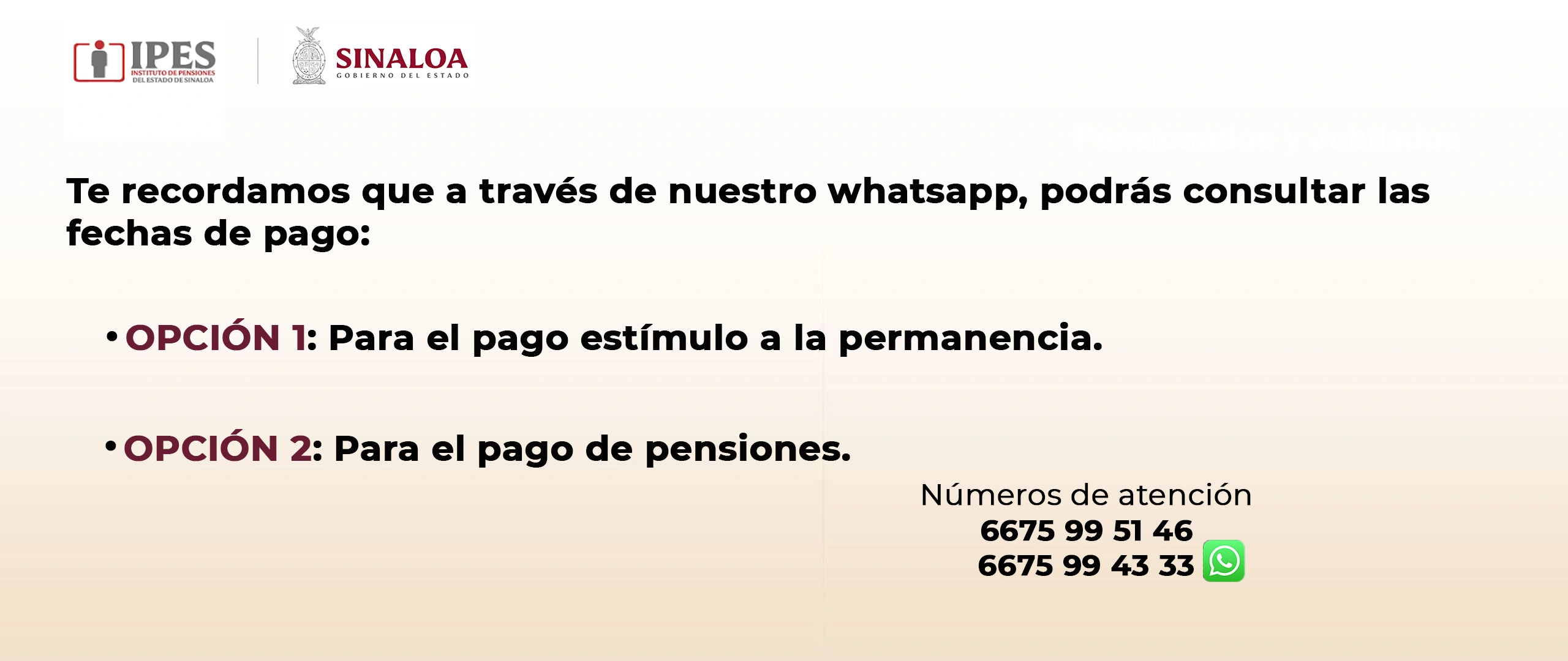 Consultar fechas de pago de estímulos y pensiones por WhatsApp al 6675994333.